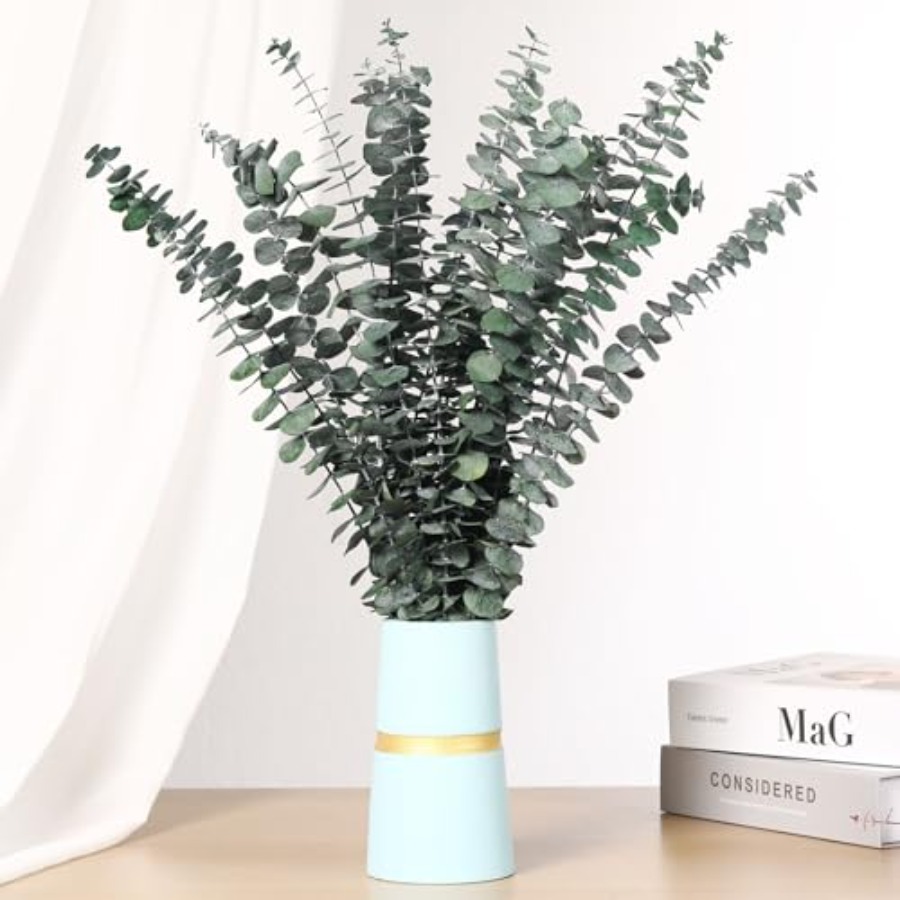 Dried Eucalyptus Stems for Sho - Home Fragrance Eucalyptus recension och pris
