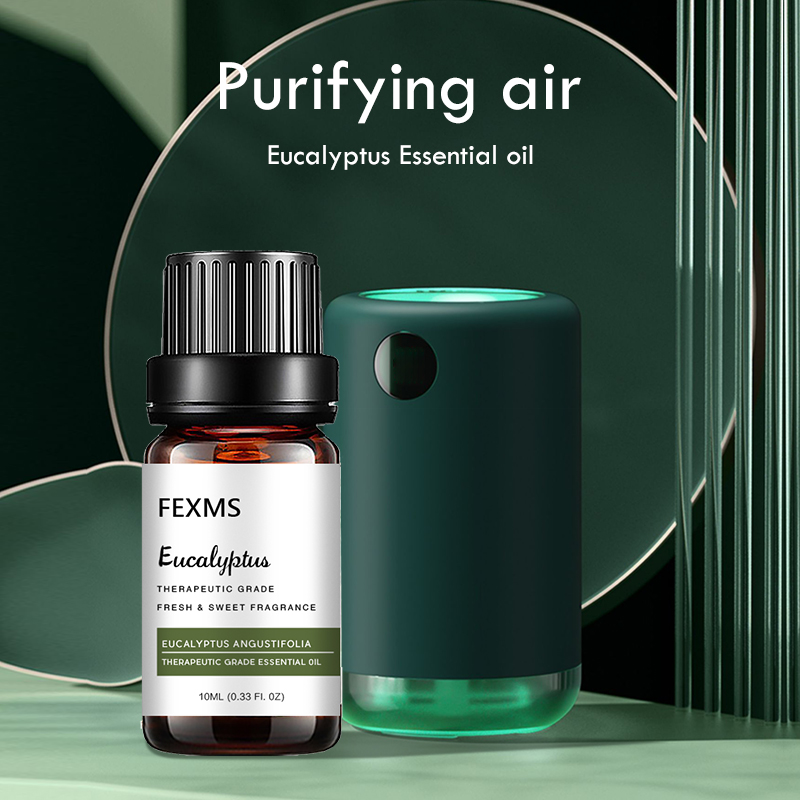 Eucalyptus Essential Oil (100% - Home Fragrance Eucalyptus recension och pris