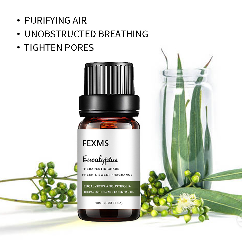 Eucalyptus Essential Oil (100% - Home Fragrance Eucalyptus recension och pris
